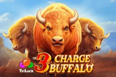 bango77